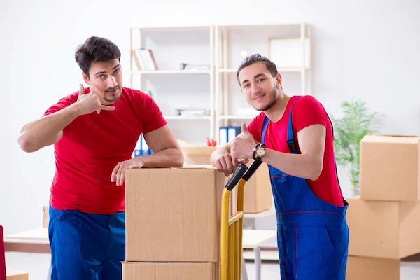 household vs office movers in christchurch 1