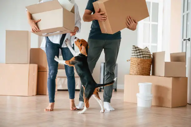 istockphoto 1822187088 612x612 1