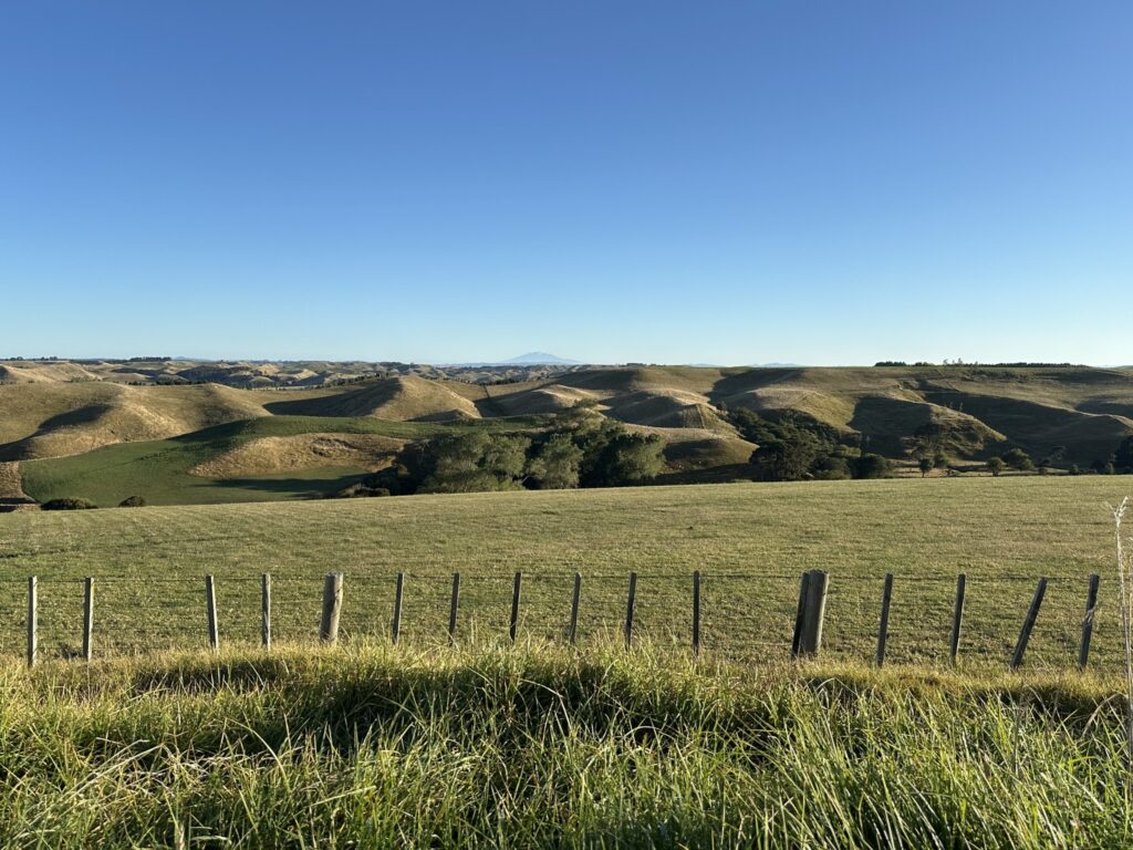 rangitikei
