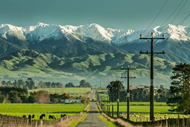 tararua