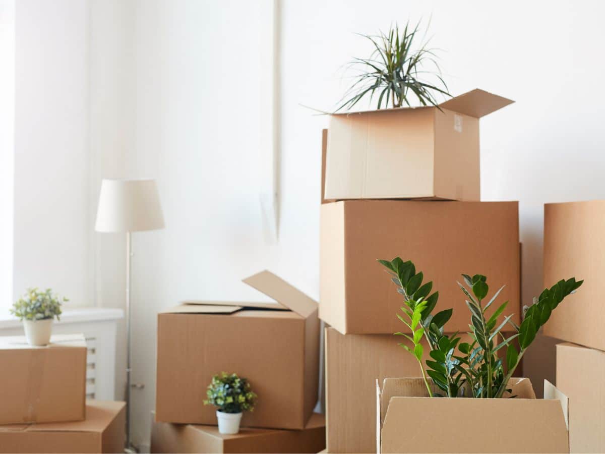 Moving Resources 9 moving with plants